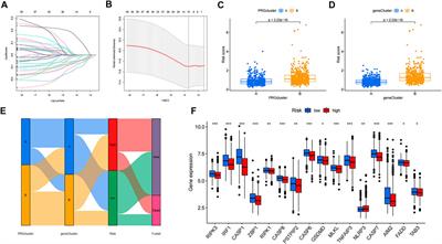 PANoptosis-based molecular clustering and prognostic signature predicts patient survival and immune landscape in colon cancer